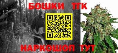 стафф Братск