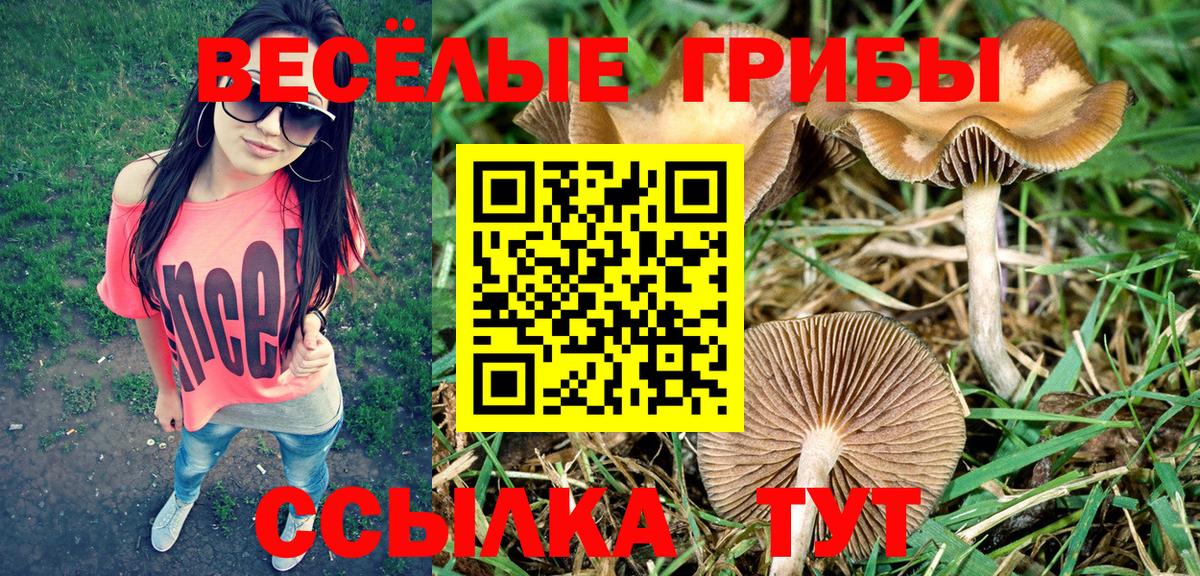 Псилоцибиновые грибы GOLDEN TEACHER  Вход с VPN  Гурьевск 