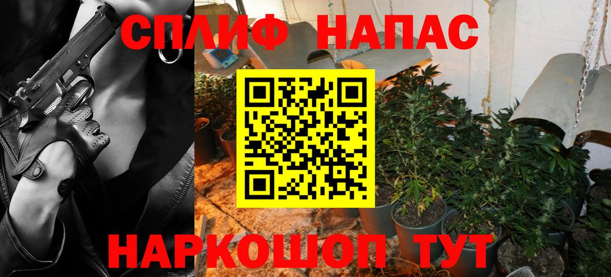 Гурьевск  Бошки марихуана сатива  Вход с VPN  Каннабис тримм 